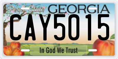 GA license plate CAY5015