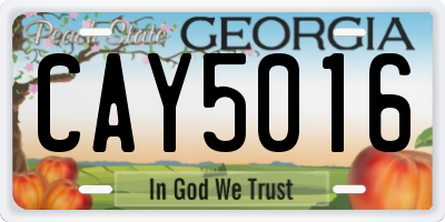 GA license plate CAY5016