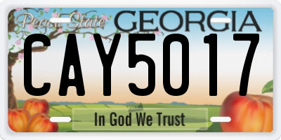 GA license plate CAY5017