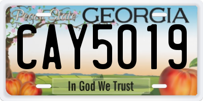 GA license plate CAY5019