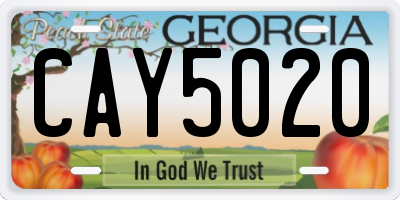 GA license plate CAY5020