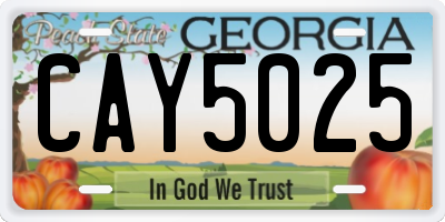 GA license plate CAY5025