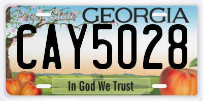 GA license plate CAY5028