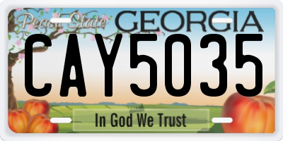 GA license plate CAY5035