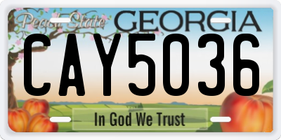 GA license plate CAY5036