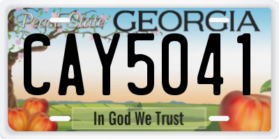 GA license plate CAY5041