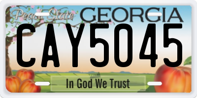 GA license plate CAY5045