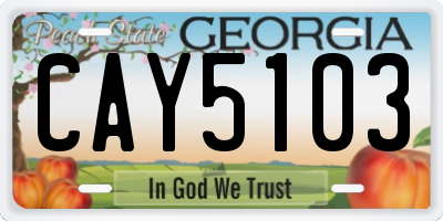 GA license plate CAY5103