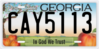 GA license plate CAY5113