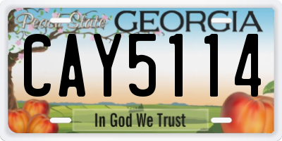 GA license plate CAY5114