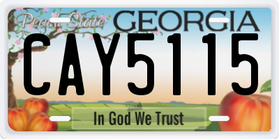 GA license plate CAY5115