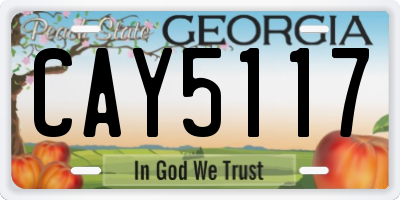 GA license plate CAY5117