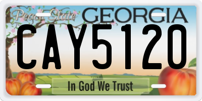 GA license plate CAY5120