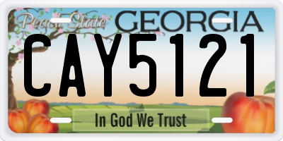 GA license plate CAY5121