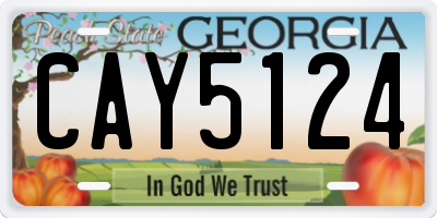 GA license plate CAY5124