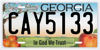 GA license plate CAY5133