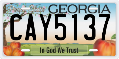 GA license plate CAY5137
