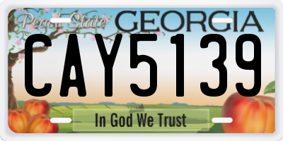 GA license plate CAY5139