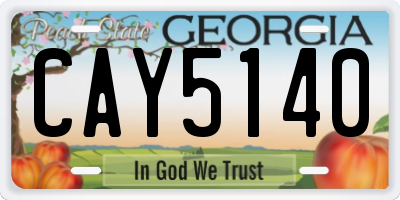 GA license plate CAY5140