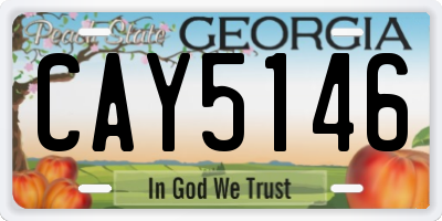 GA license plate CAY5146