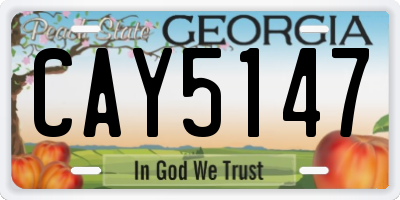 GA license plate CAY5147