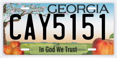 GA license plate CAY5151