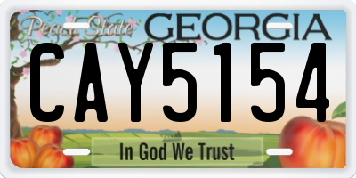 GA license plate CAY5154