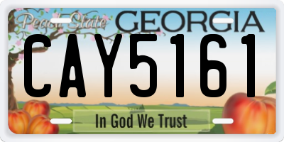 GA license plate CAY5161