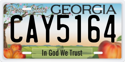 GA license plate CAY5164