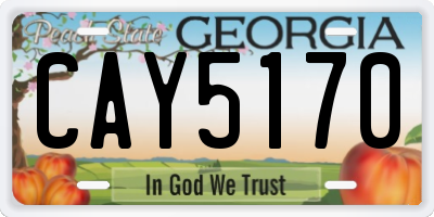 GA license plate CAY5170