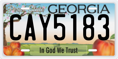 GA license plate CAY5183