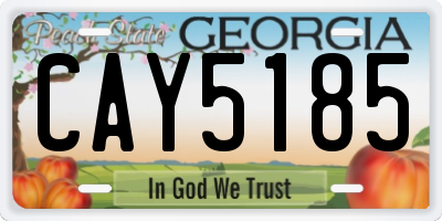 GA license plate CAY5185