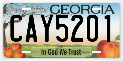 GA license plate CAY5201