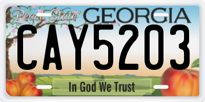GA license plate CAY5203