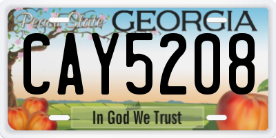 GA license plate CAY5208