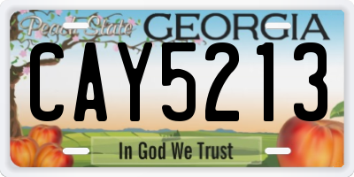 GA license plate CAY5213