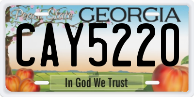 GA license plate CAY5220