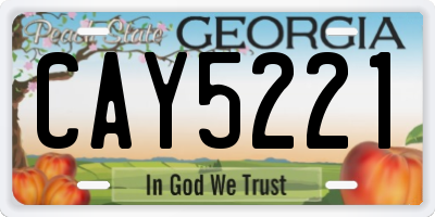 GA license plate CAY5221