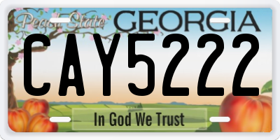 GA license plate CAY5222