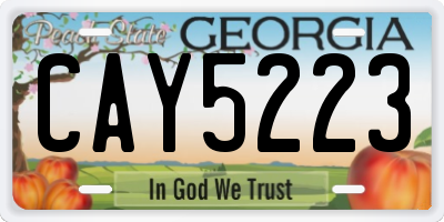 GA license plate CAY5223