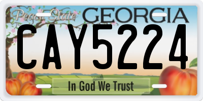 GA license plate CAY5224