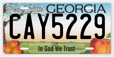 GA license plate CAY5229
