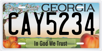 GA license plate CAY5234