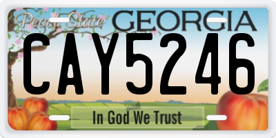 GA license plate CAY5246