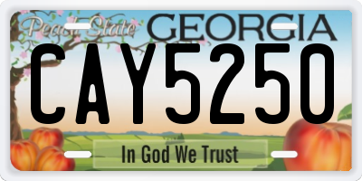 GA license plate CAY5250