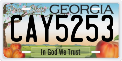 GA license plate CAY5253