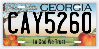 GA license plate CAY5260