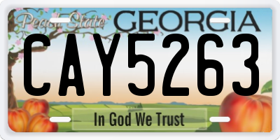 GA license plate CAY5263