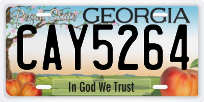 GA license plate CAY5264
