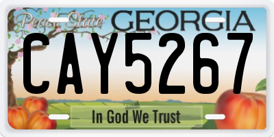 GA license plate CAY5267